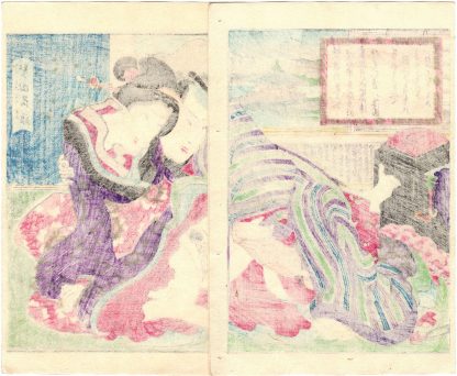 EIGHT AMOROUS VIEWS OF OMI: DESCENDING GEESE AT KATATA (Koikawa Shozan)