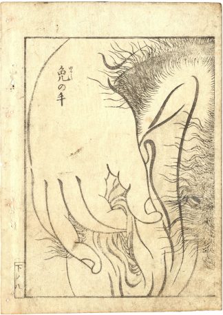 THE LAUGHING DRINKER: THE PERMISSIVE HAND (Kitagawa Utamaro)