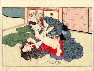 PLEASURE IN FIFTY-SOME FEELINGS: ASHIKAGA MITSUUJI AND THE AGED SERVINGWOMAN MIHARA (Toyohara Chikanobu)