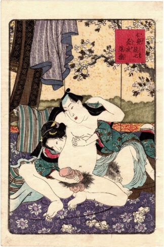A BEDSIDE GUIDE: OTSUYA AND TOKUSHICHI HAVING SECRET FUN DAY AND NIGHT (Utagawa Kunisada)