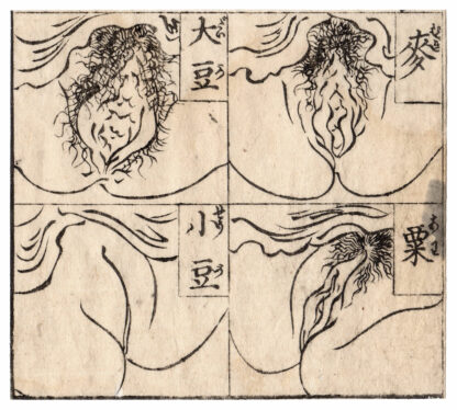 SELECTION OF LAUGHING PICTURES: FOUR TYPES OF WOMEN'S VAGINA (Koikawa Shozan)
