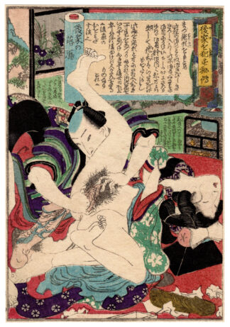 DATES WITH CHARMING LADIES: THE DOWAGER AND THE DESCENDING GEESE (Ryusuitei Tanekiyo)